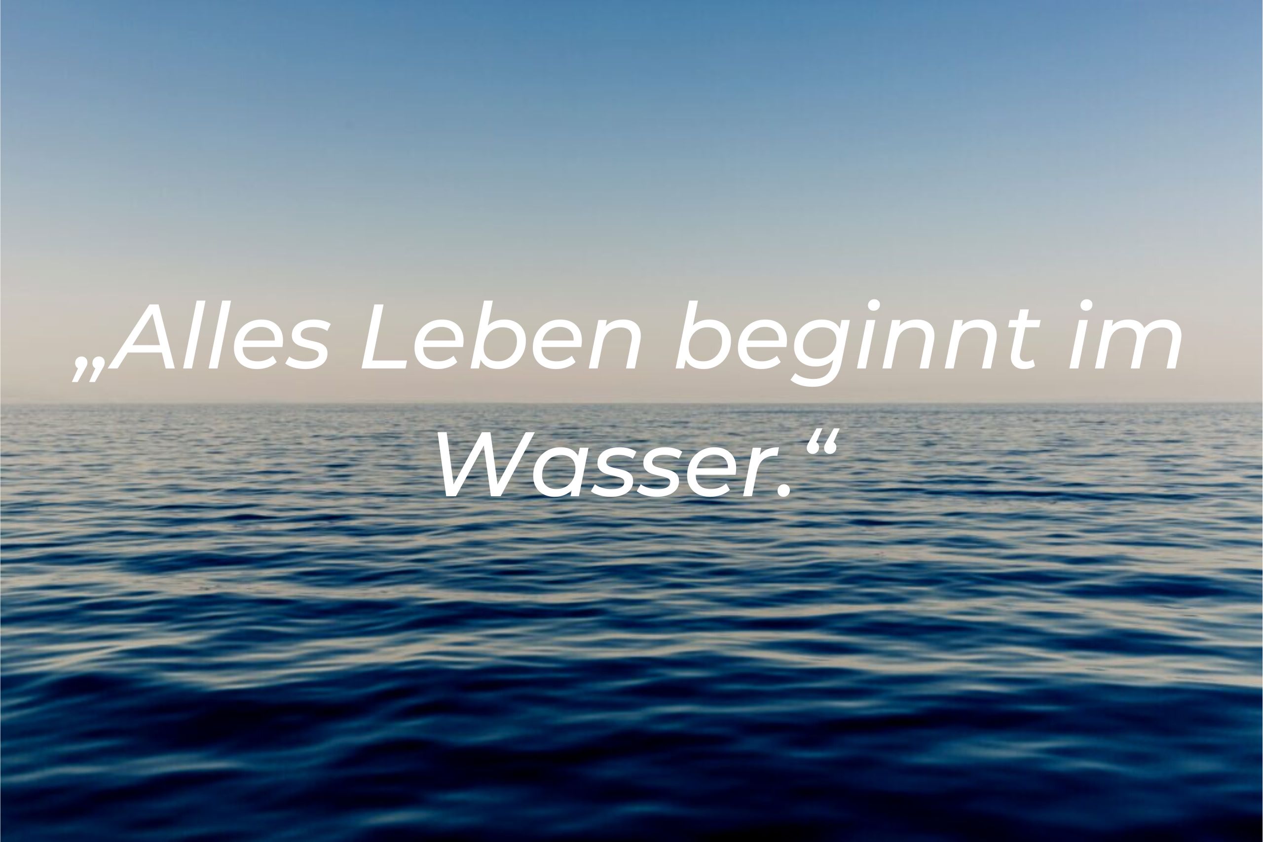 „Alles Leben beginnt im Wasser.“